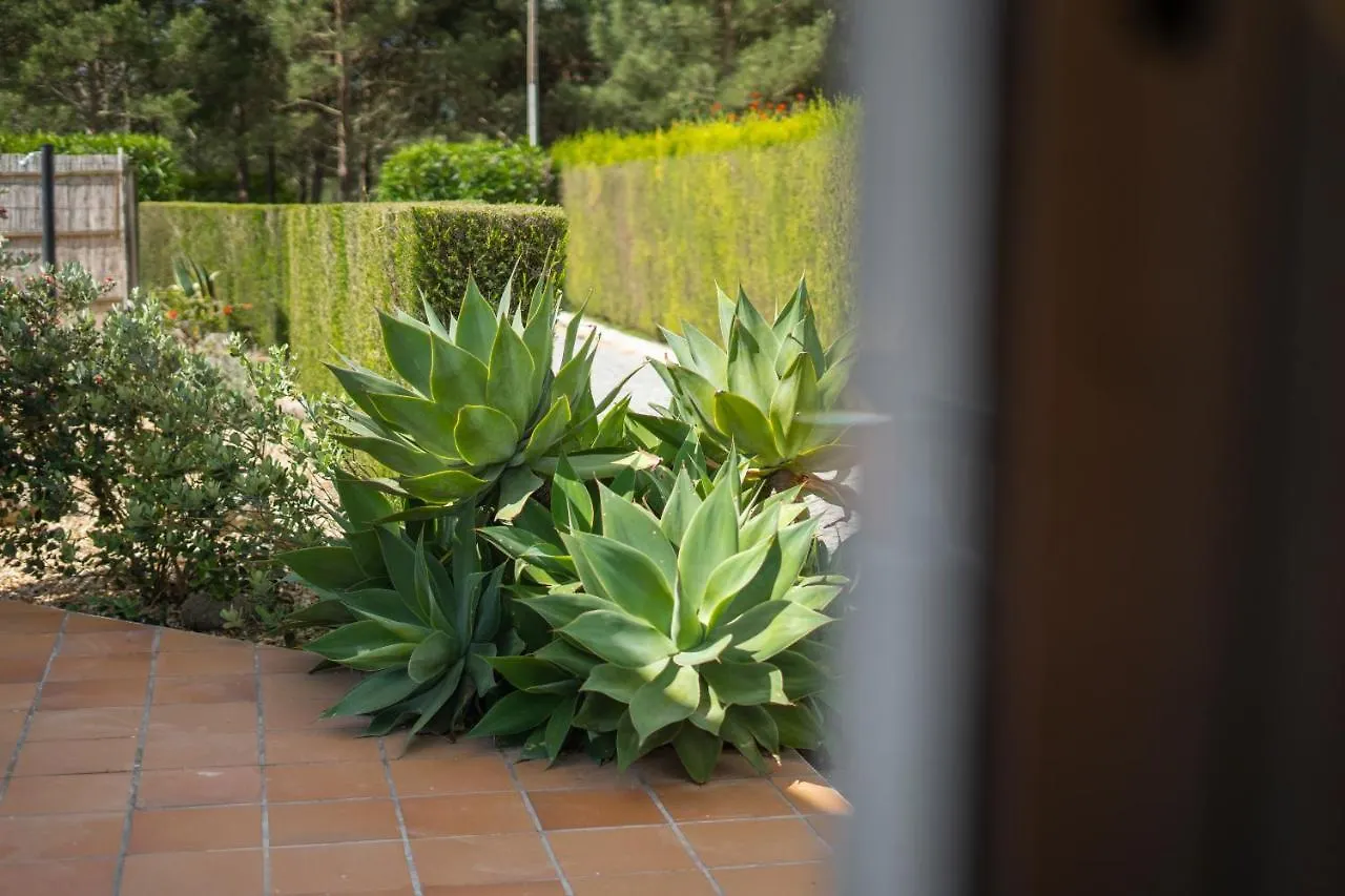 Casa Garrod - Spacious Family Villa Aljezur
